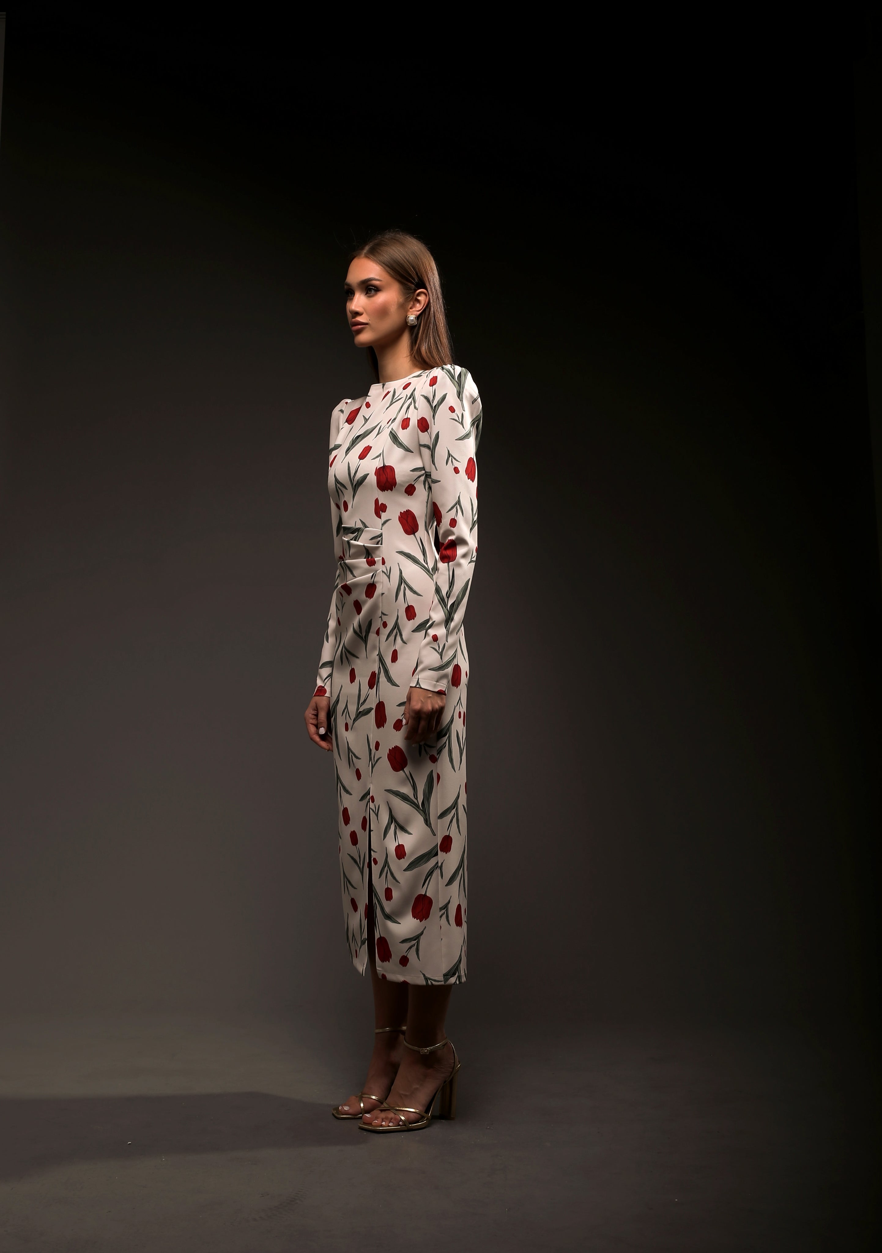 Garden Dress Long Sleeves