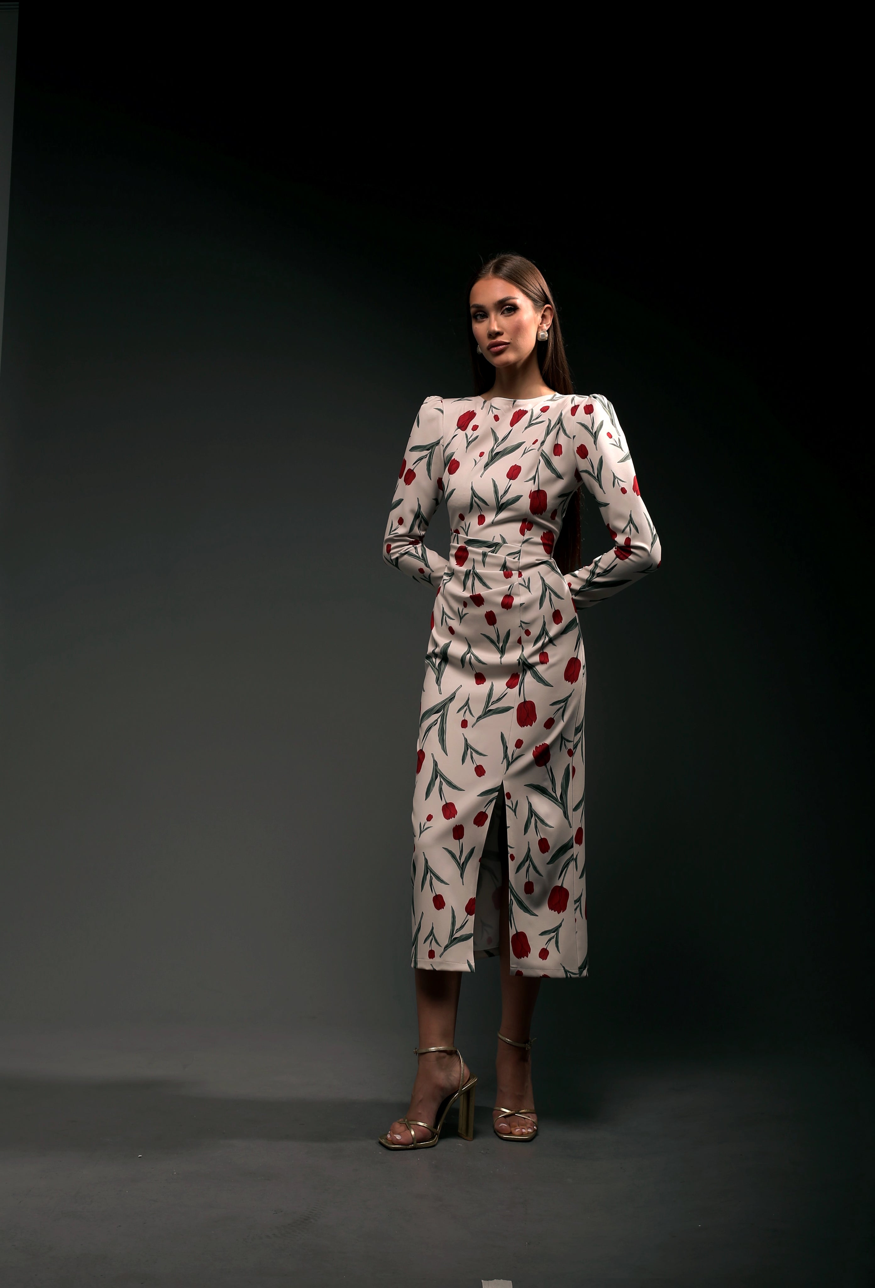 Garden Dress Long Sleeves