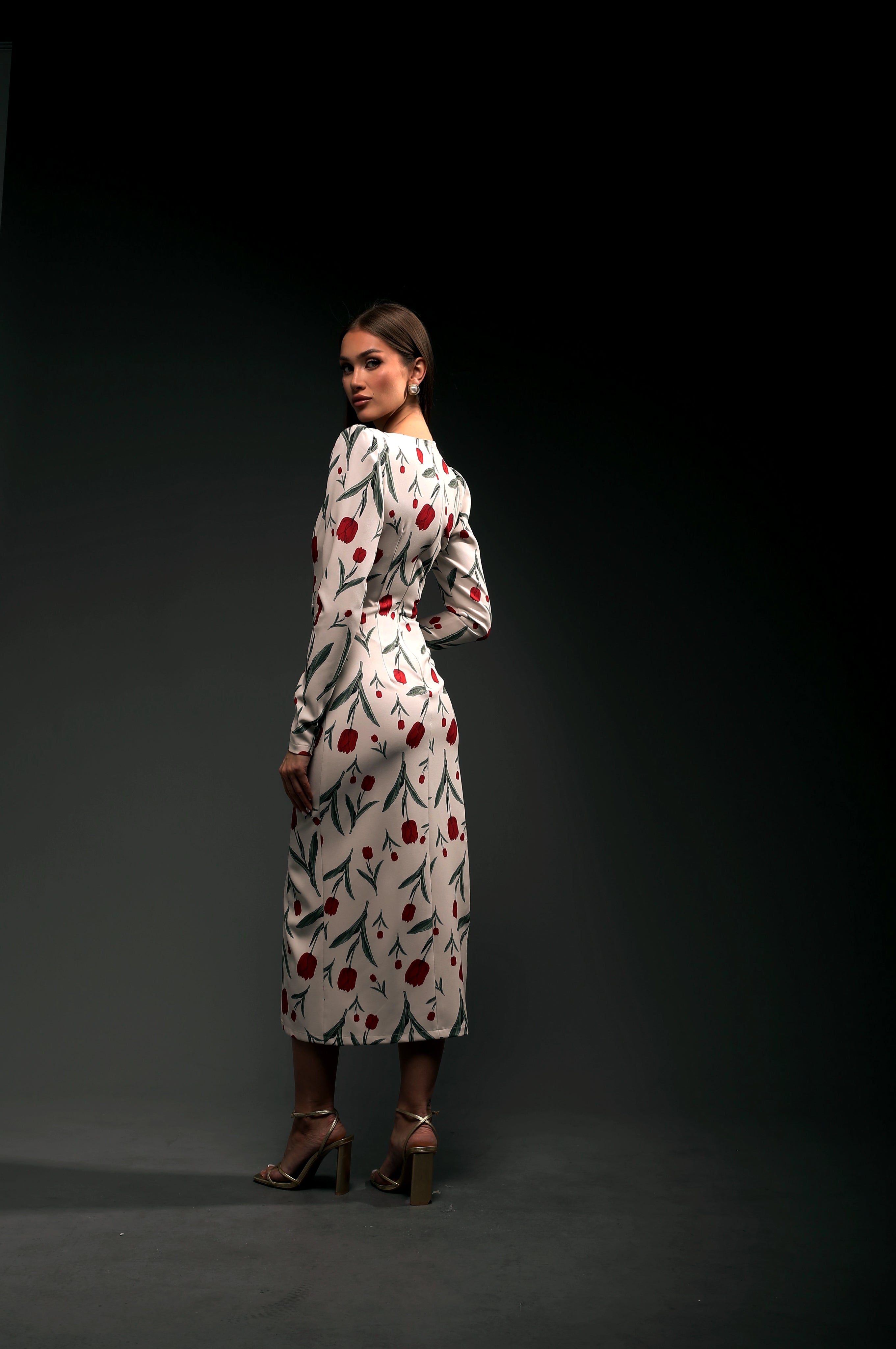 Garden Dress Long Sleeves