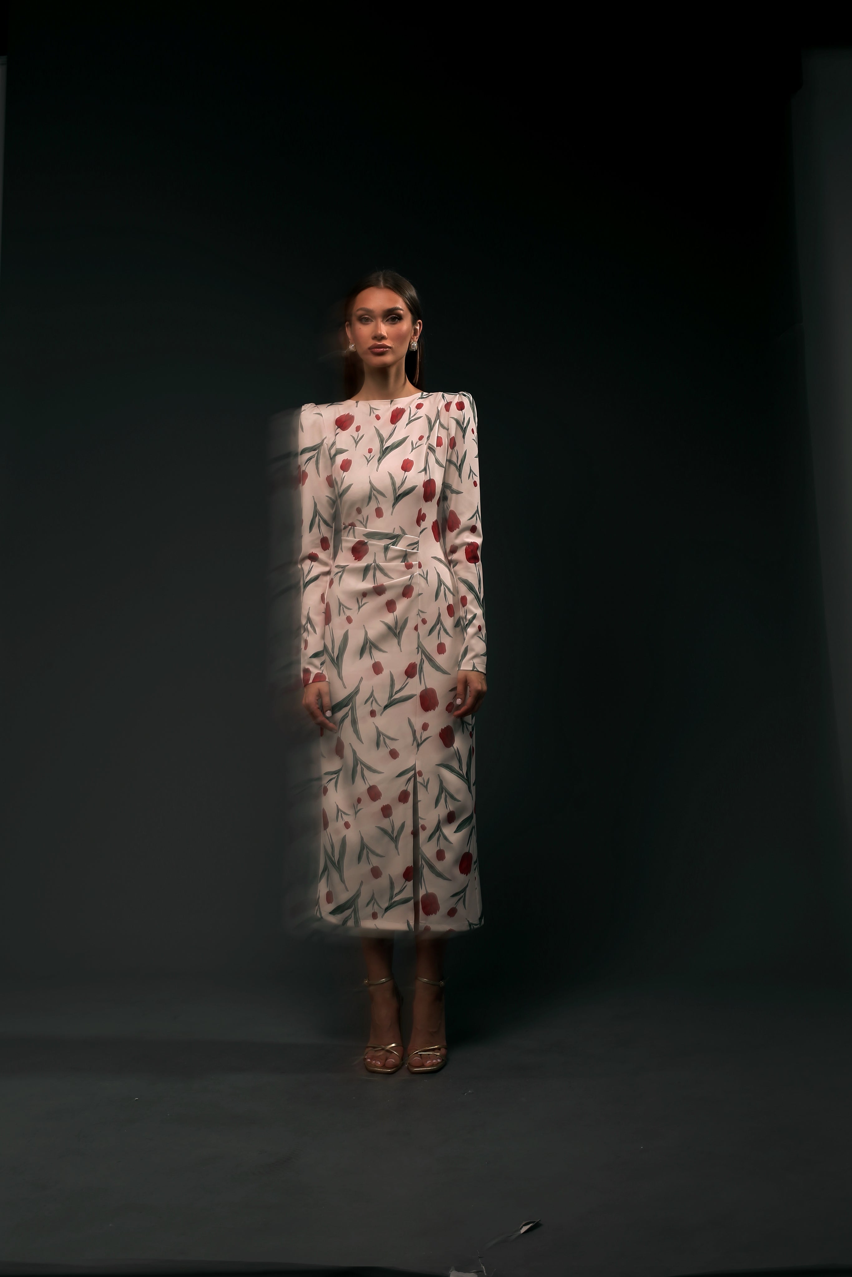 Garden Dress Long Sleeves