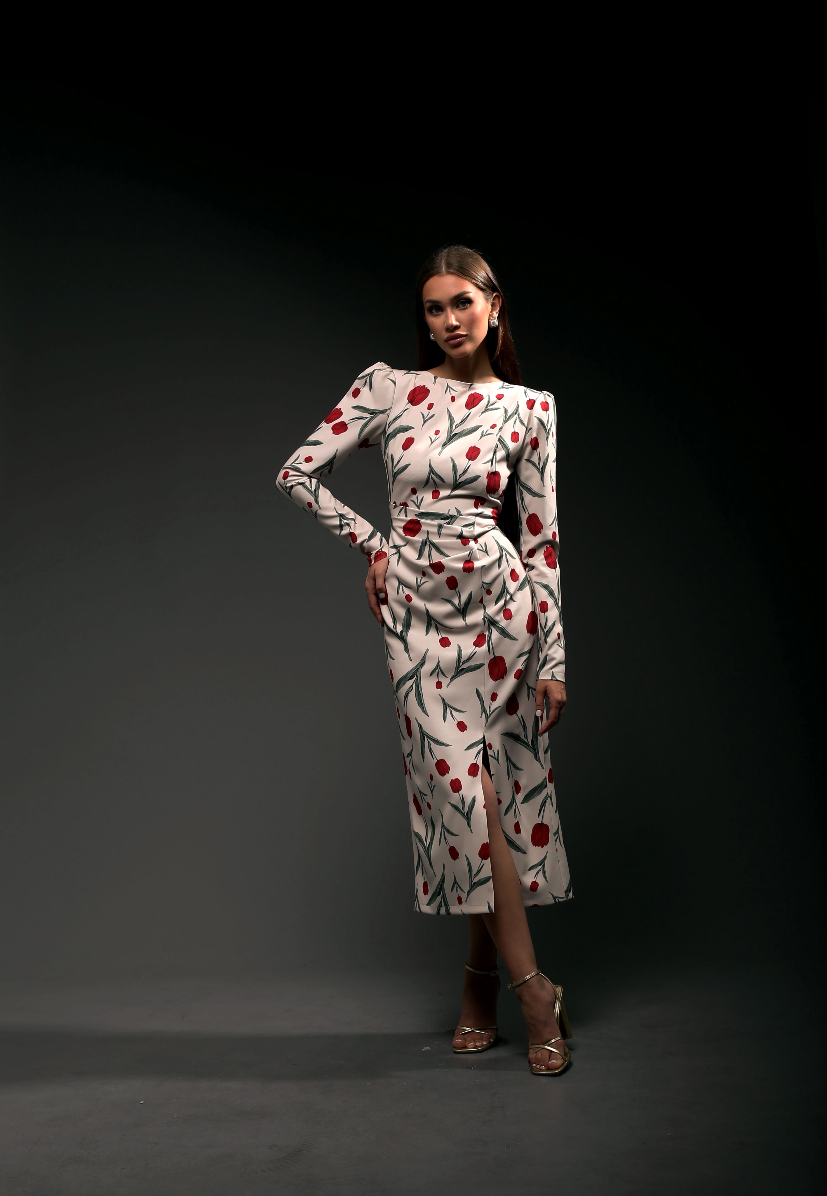 Garden Dress Long Sleeves