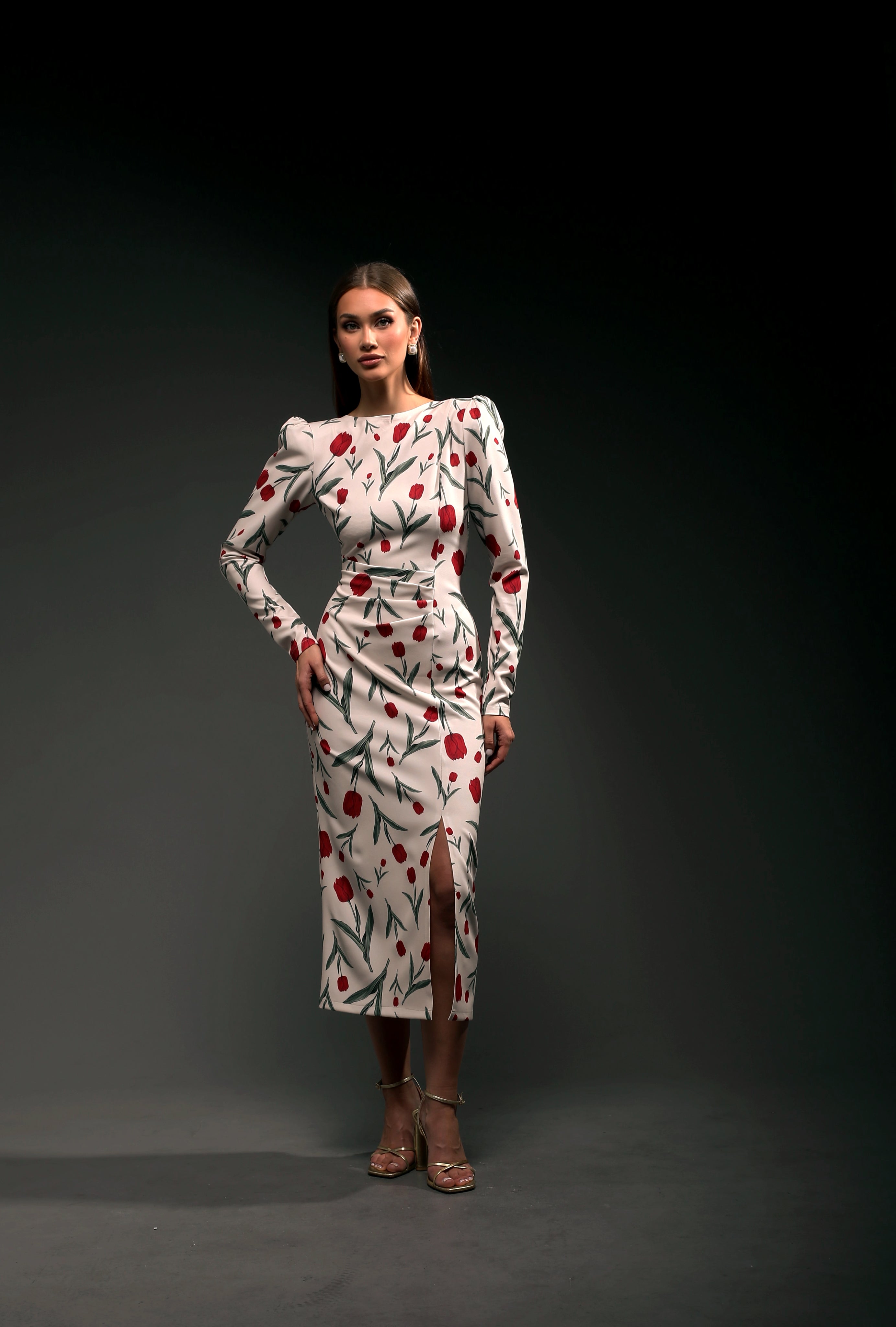 Garden Dress Long Sleeves