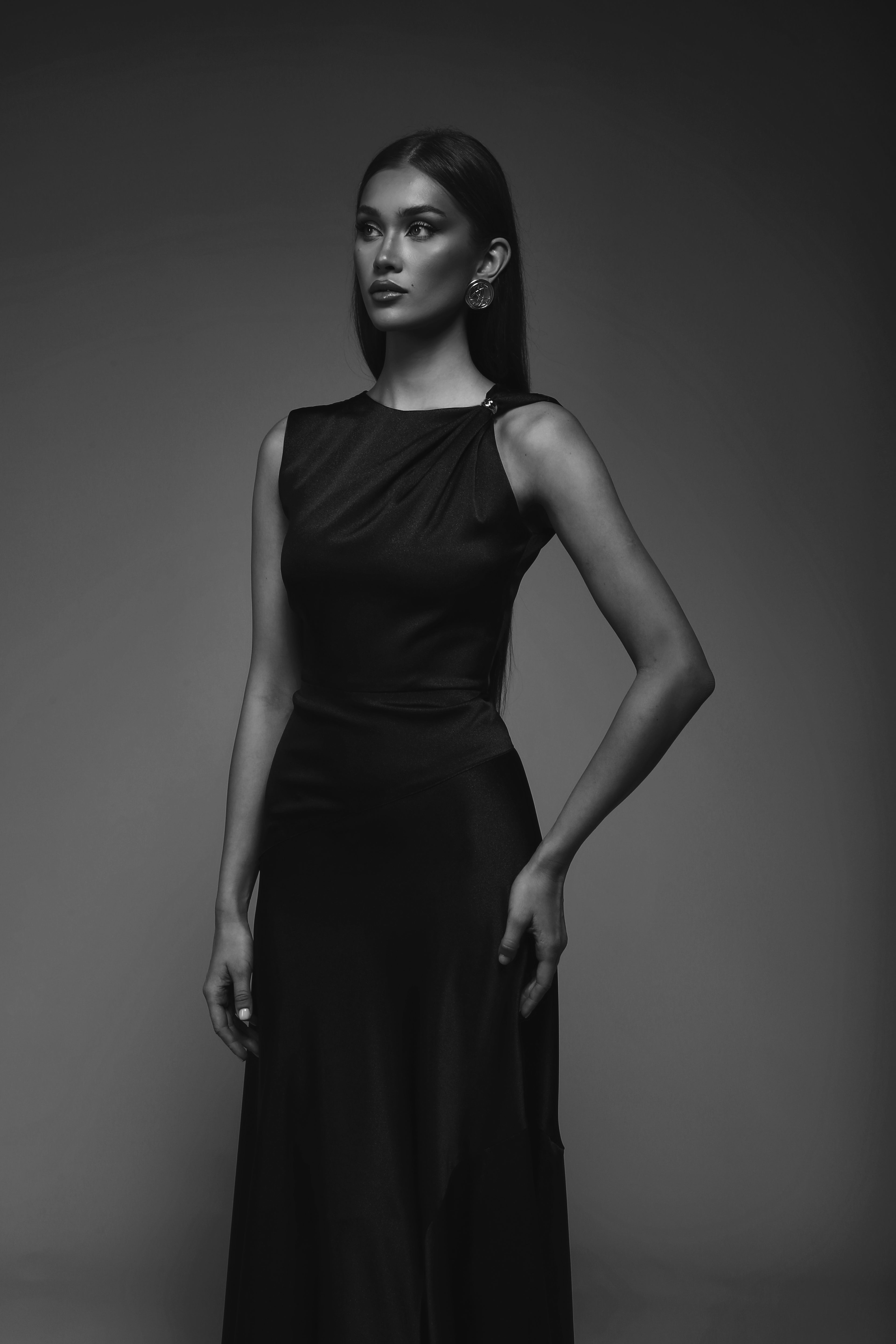 Modern Heritage Ring Dress